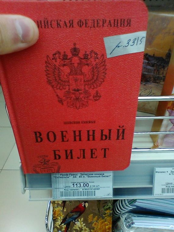 прописка в Заинске